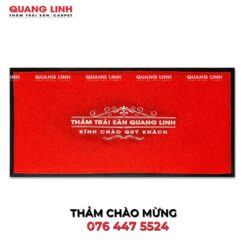 Thảm nhựa rối cửa ra vào trải sảnh chung cư công ty văn phòng