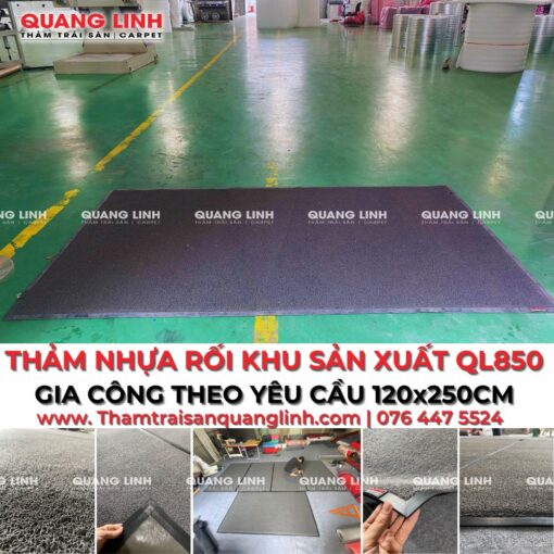 THẢM NHỰA RỐI QL850 KHU VỰC VỆ SINH CÔNG CỘNG