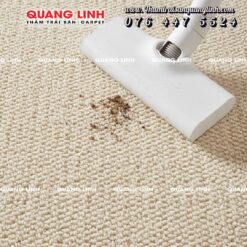 vệ sinh Thảm trải sản phòng khách decor hiện đại QL19C